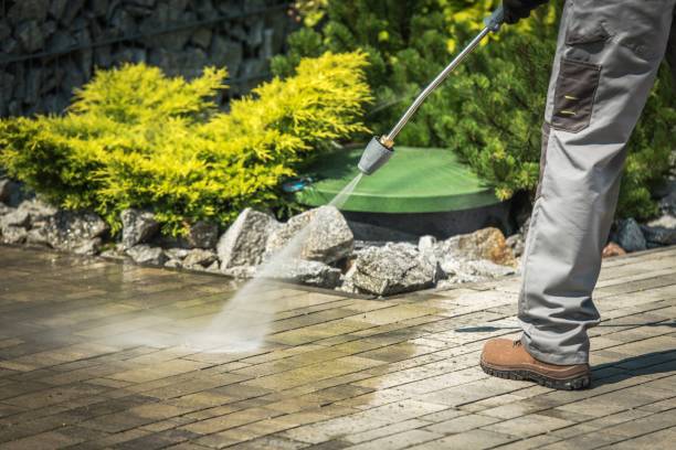 Best Sidewalk and Walkway Cleaning  in Frewsburg, NY